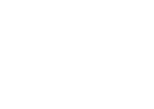 logo-white